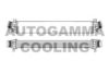 AUTOGAMMA 105641 Intercooler, charger